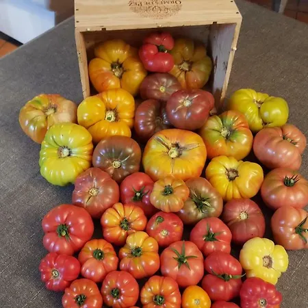 De Charme Les Bruhasses 3* Condom