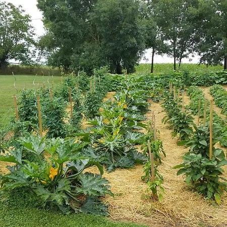 De Charme Les Bruhasses فندق مبيت وإفطار كوندوم