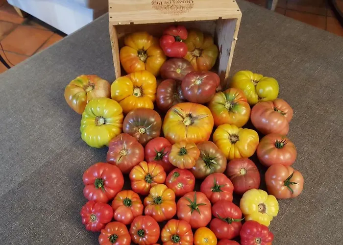 De Charme Les Bruhasses 3* كوندوم