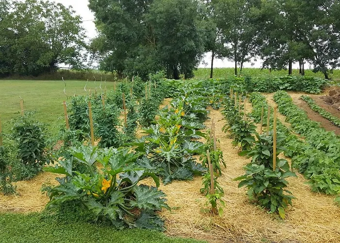 De Charme Les Bruhasses فندق مبيت وإفطار كوندوم